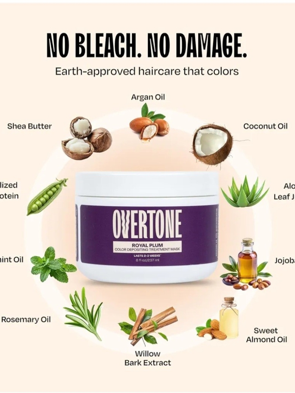 Royal Plum Color Depositing Treatment Mask - Royal Plum
